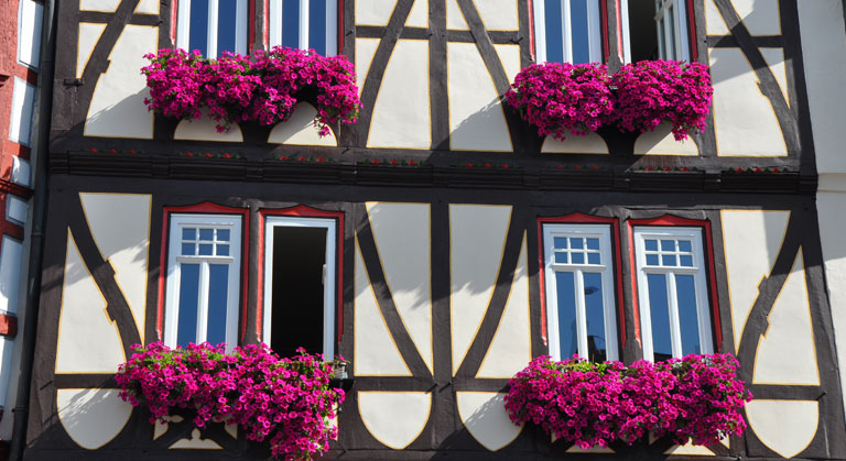 baureiniger-fachwerk-reinigung